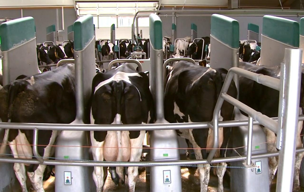 Gea dealers verder als Dairy Centers | Vier in Nederland, twee in België | Veehouderij Techniek