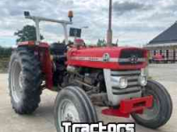 Traktoren Massey Ferguson 135